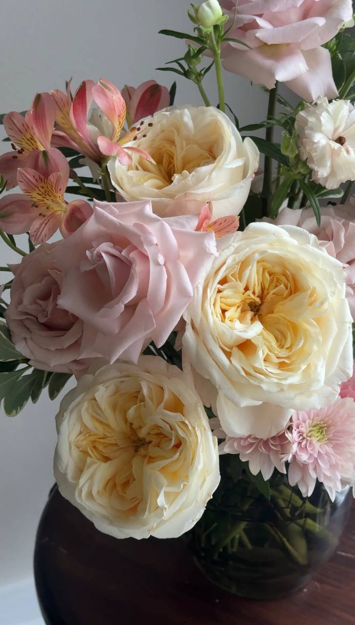 Soft ivory and blush garden roses
